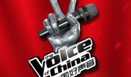 最新钉鞋爆料事件新闻报道,揭秘运动鞋界的秘密与争议